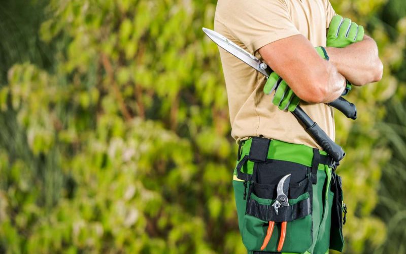 Professional Caucasian Gardener with a Large Hedge Clippers in His Hands